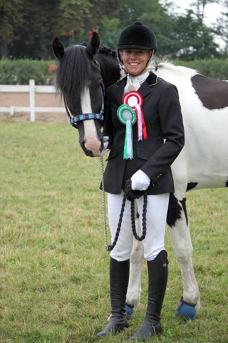 Barockpinto Jake - Til vores første ude stævne hvor vi vandt 1. plads med 69,3% og 3. plads med 65% :´) foto: Maria rasch billede 18