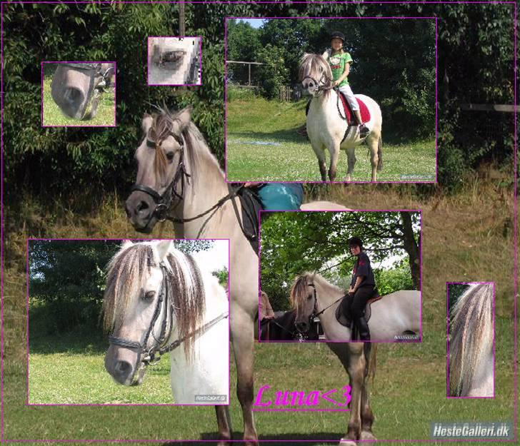 Anden særlig race Bygge`s Luna <3 billede 19