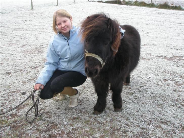 Shetlænder Sofus<3 - mig og smukke sofus  billede 2