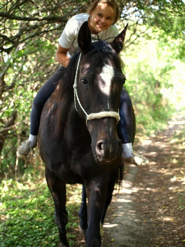 Anden særlig race Pashin <3 tidl. part. - 5) Det var egentlig bare meningen at vi skulle gå en tur? :D Kan virkelig ikke beskrive hvor godt det føltes at sidde påd ig igen :) <3  [Fotograf: MC med mit kamera - 01.08.09] billede 5