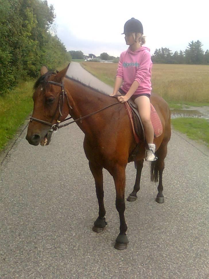 Traver Stamro R.I.P  billede 12