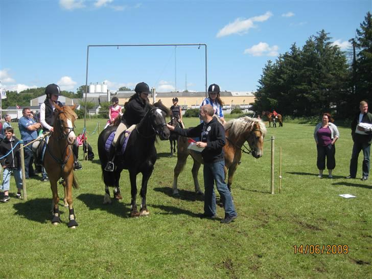 Anden særlig race Nemo Bit - præmie overrækkelse til ringridning den14/6-09 foto; mor billede 14