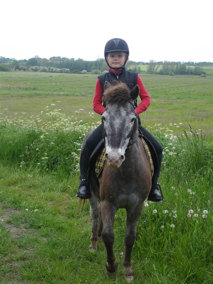 Anden særlig race Hubert - Velkommen til Hubert´s Profil ;9 billede 1