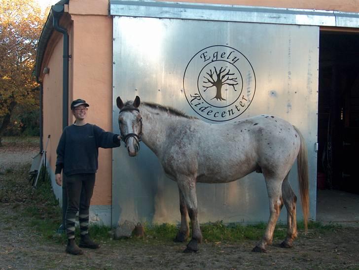 Anden særlig race Sofus  billede 13