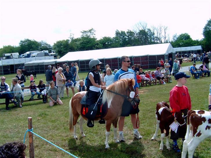 Anden særlig race Mr. Filur (R.I.P) - Filur mig og far til dyreskue i hurup 1 plads :) billede 5