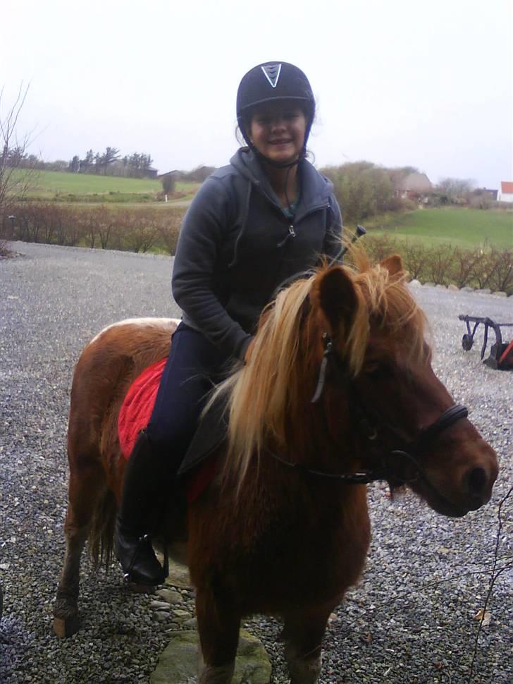 Anden særlig race Mr. Filur (R.I.P) - Første ridetur efter en brækket arm :) billede 6