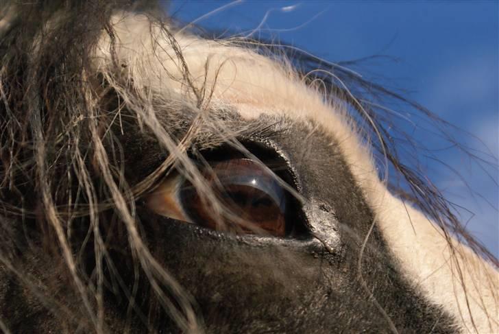 Tinker Katinka billede 8