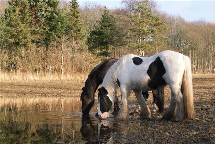 Tinker Katinka billede 9