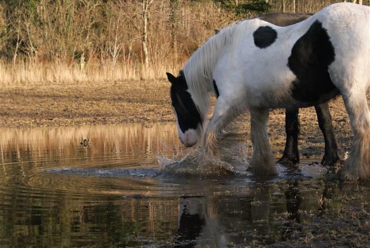 Tinker Katinka billede 10