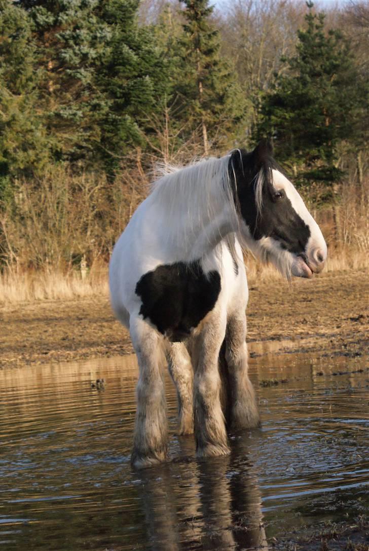 Tinker Katinka billede 11