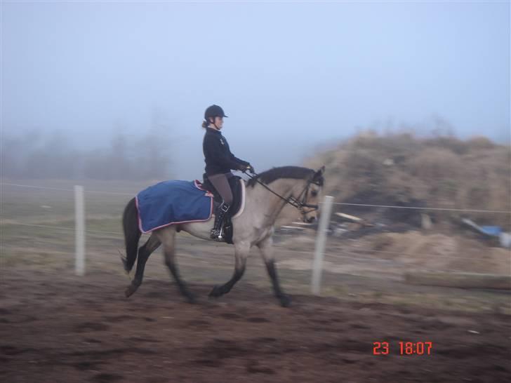 Anden særlig race Albano - Første ride tur hjemme :) billede 3