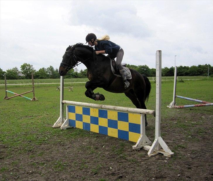 Anden særlig race Conrad <3 billede 3