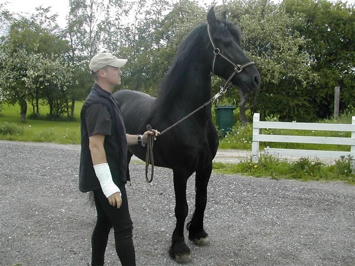 Frieser Jelle - min far og jelle...der havde vi lige fået ham (= billede 10