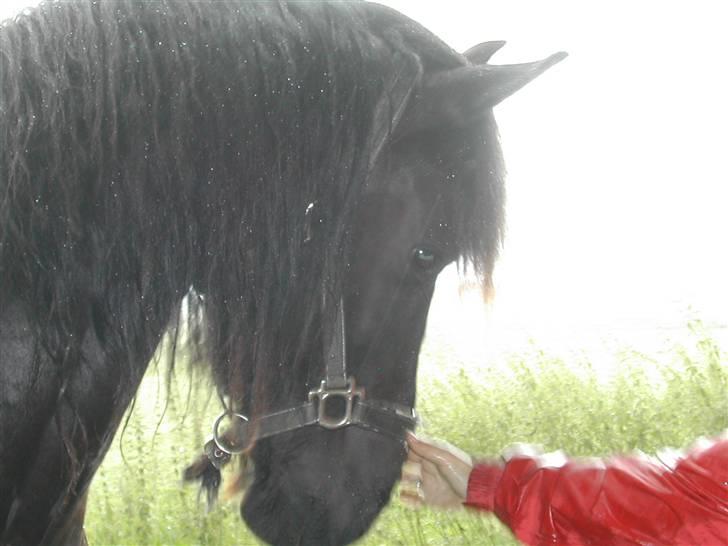 Frieser Jelle - jelle basen.....JEG ELSKER DIG <3<3<3<3<3<3<3<3<3 billede 12