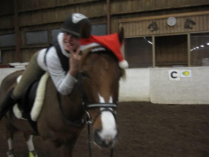 DSP Haahr's FlickaSOLGT/R.I.P - 20...Tiderne med dig skat vil ALDRIG nogen sinde blive glemt, jeg elsker dig glem det aldrig!:S<3 jeg savner dig så meget!(L)jeg nød hvert et skridt på dig igen minskat!Mig&solstrålen,foto:sille,nye ejer,jeg var på besøg:DBEGRUND LAV ELLER MIDDEL tak billede 20