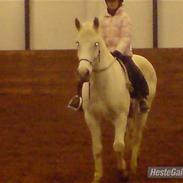 Anden særlig race camira R.I.P min engel