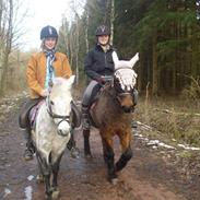 Anden særlig race Star<3