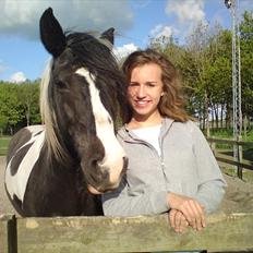 Irish Cob Jensen<3 *Passer* 