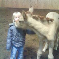 Anden særlig race Mon Chéri *bortgivet* - aflivet 21/5.2025