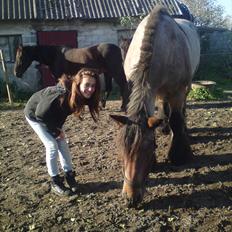 Belgier Musse  *Ikke min* 