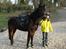 New Forest Mankehøjs Honey Solgt RIP - Wee på vej til at skulle ride :P <3