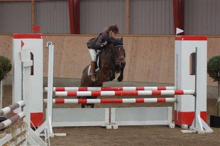 Anden særlig race Kissba - Stævne AAGS vinter 2009 LA billede 10