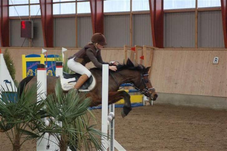 Anden særlig race Kissba - Sidste spring LA´en 14. plads billede 11