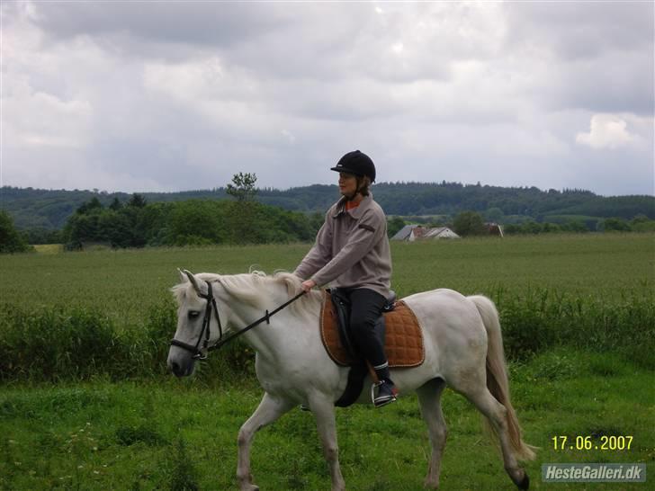 Anden særlig race Sanne<3 billede 1