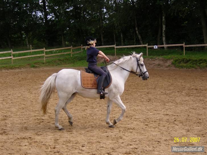 Anden særlig race Sanne<3 billede 4