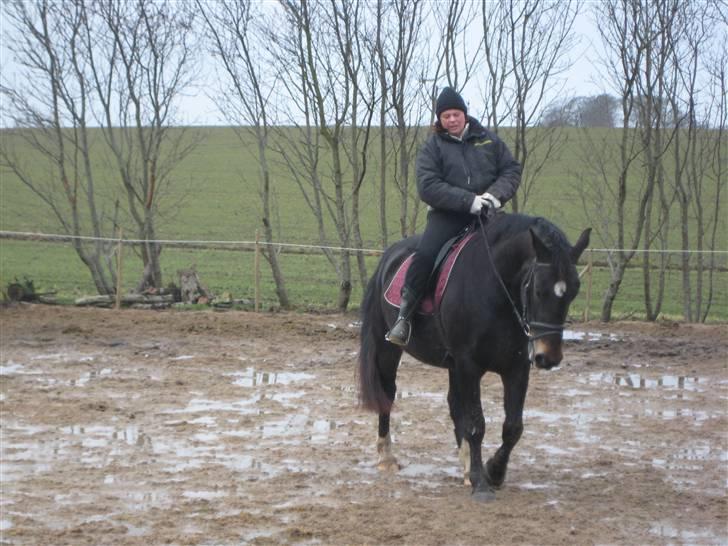 Oldenborg Lillegårdens Lea  ol 579 - Er man lige klædt godt på eller hva :-) billede 10
