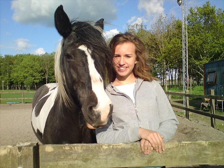 Irish Cob Jensen<3 *Passer*  billede 1