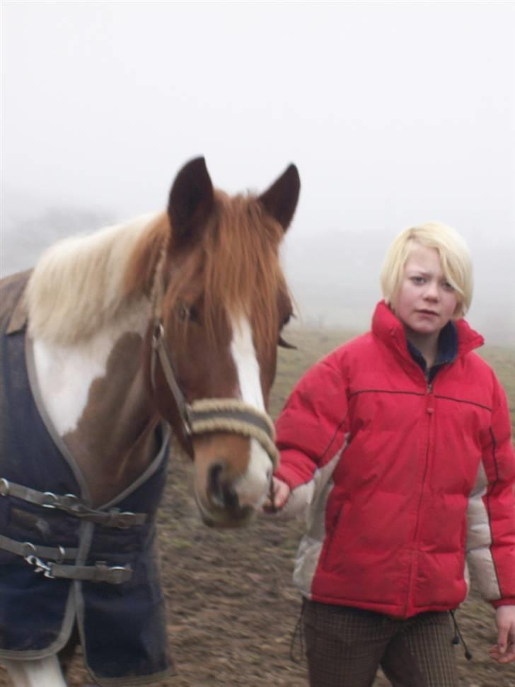 Pinto Cornelia  billede 19