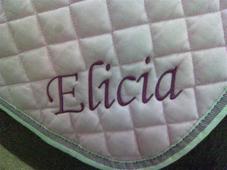 Anglo Araber (AA) Elicia <3 - solgt ! ;( billede 13