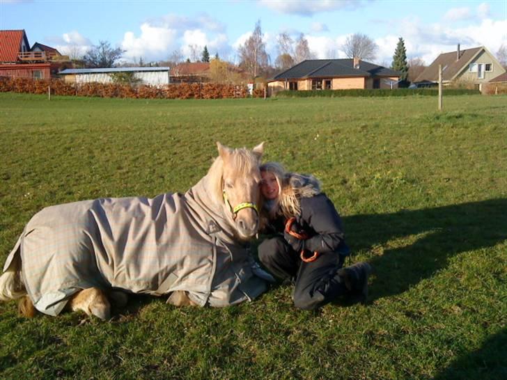 Palomino Caco ( R.I.P ) billede 17