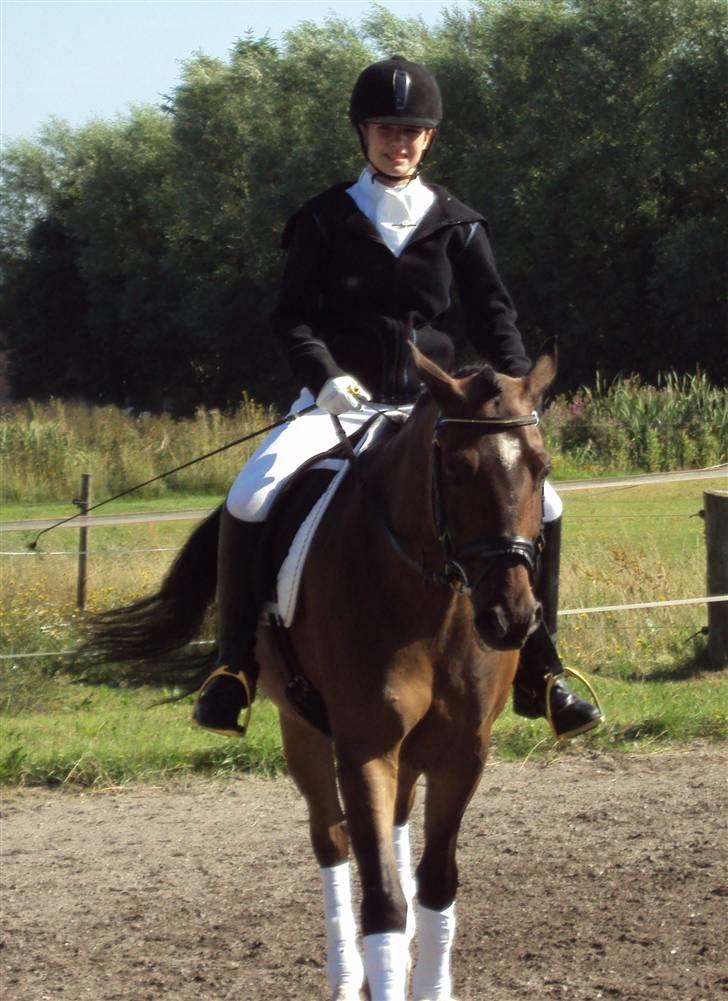 Hollandsk Sportspony Jorny  R.I.P  :'( billede 8