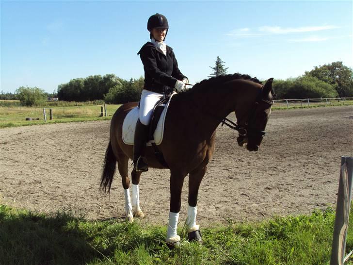 Hollandsk Sportspony Jorny  R.I.P  :'( billede 10