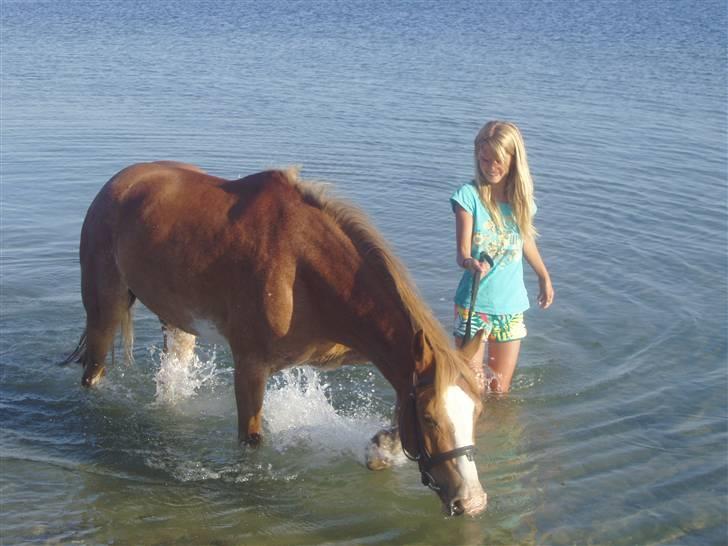Anden særlig race amadeus - uhh ama jeg savner dig  billede 1