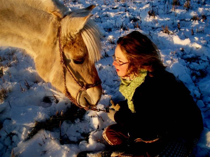 Fjordhest Solhøjgårds Amanda - du lytter altid til mig!<3 billede 8