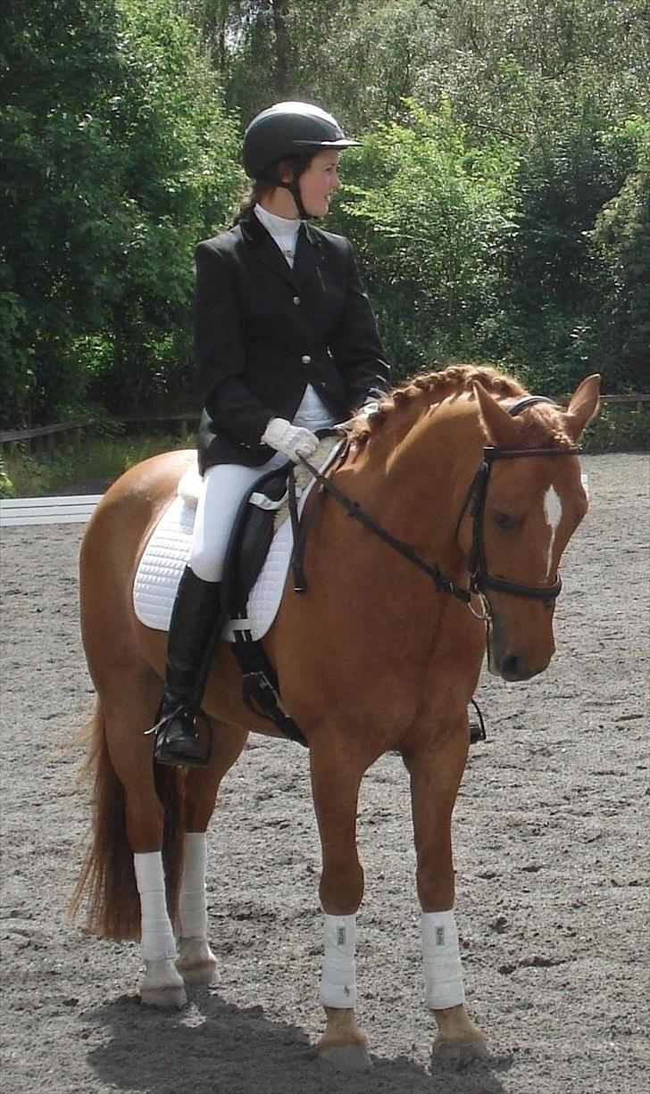 DSP Papageno - Præmieoverrækkelse billede 1