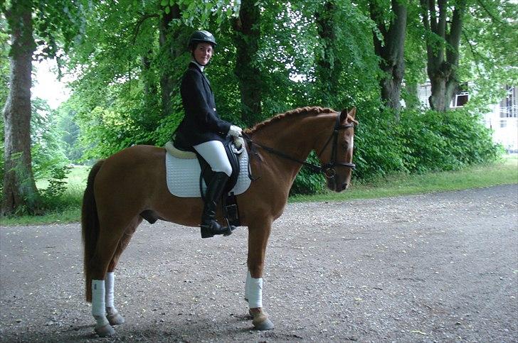 DSP Papageno - Efter LA1 til 71%, 2009  billede 6