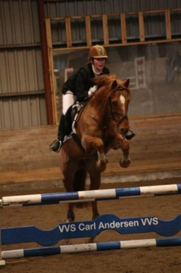 DSP Papageno - Vinder af finalen i ØRESUNDSCUPPEN :) det her er fra opvarmningsklassen billede 7