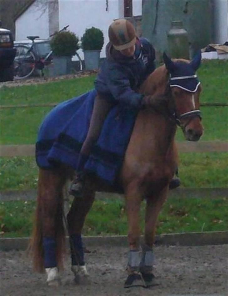 DSP Papageno - vinter 07/08 billede 14