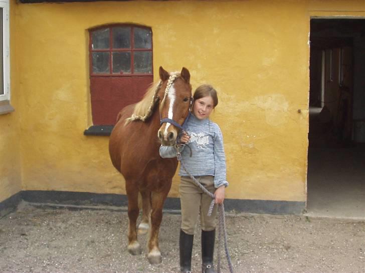 Anden særlig race Marquis billede 17