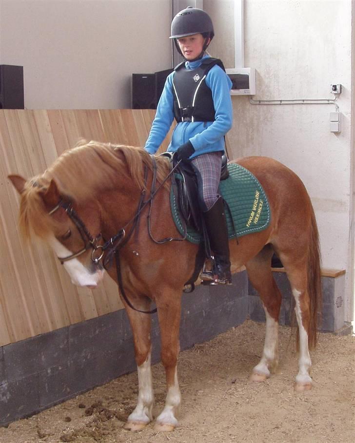 Anden særlig race amadeus - første gang jeg prøvede ama:) billede 3