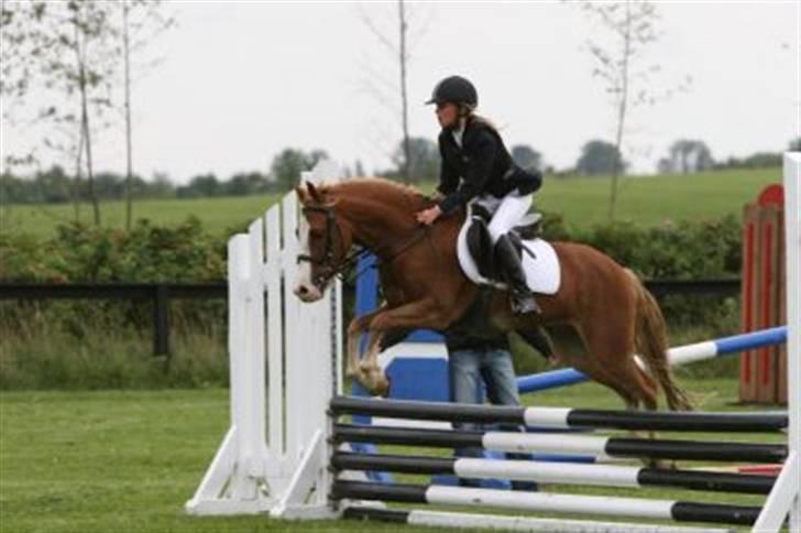 Anden særlig race amadeus - juhu billede 4