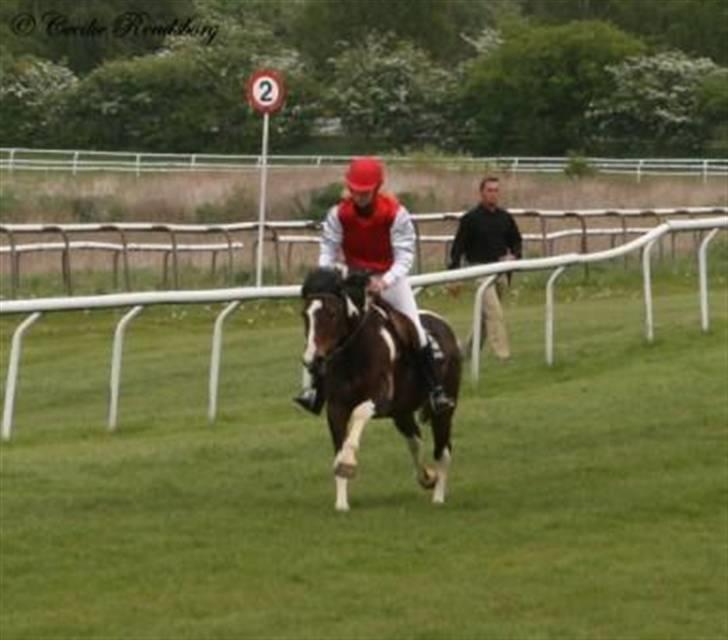 Anden særlig race Plet - Ponygalop på klampenborg galopbanexD Vi vandt bagfra´ d; billede 9