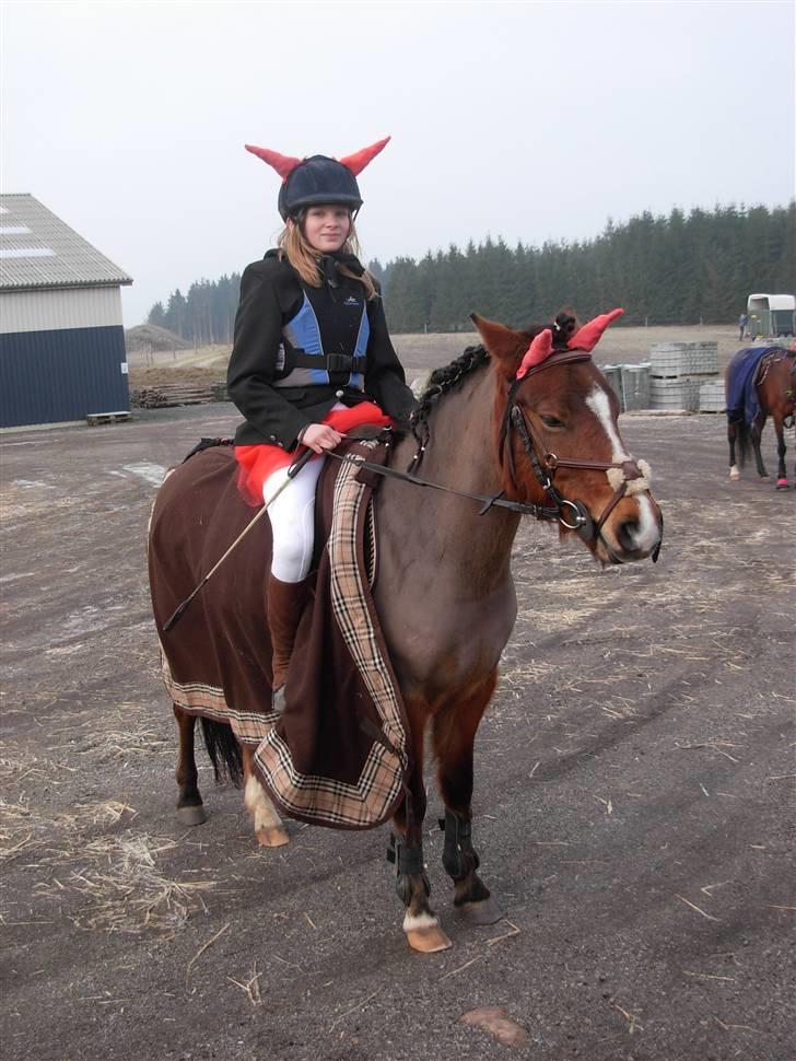 New Forest PATRICIA - Mig patricia som djævle / fastelavnes stævne billede 8