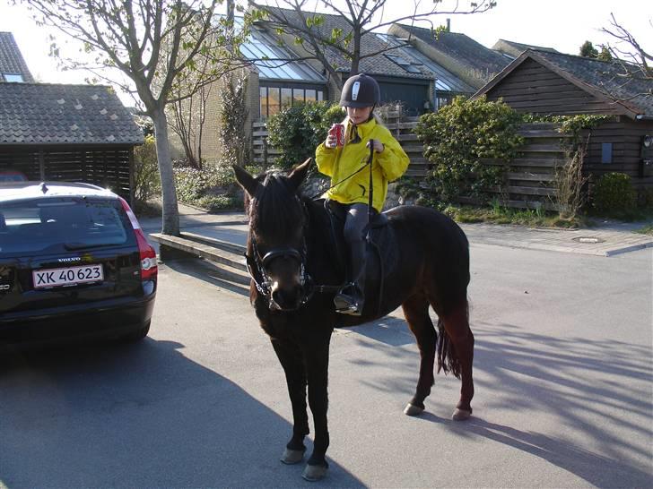 New Forest Mankehøjs Honey Solgt RIP - Hjemme ved mit gamle hus :P <33 billede 11