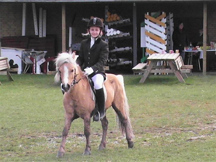 Anden særlig race Dunlet(har redet)<3<'3<3 billede 11