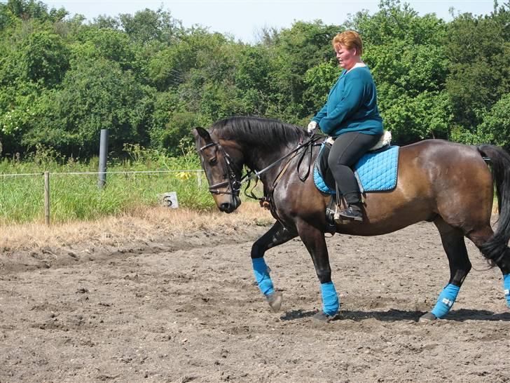 Oldenborg Prince - mig og prince billede 2